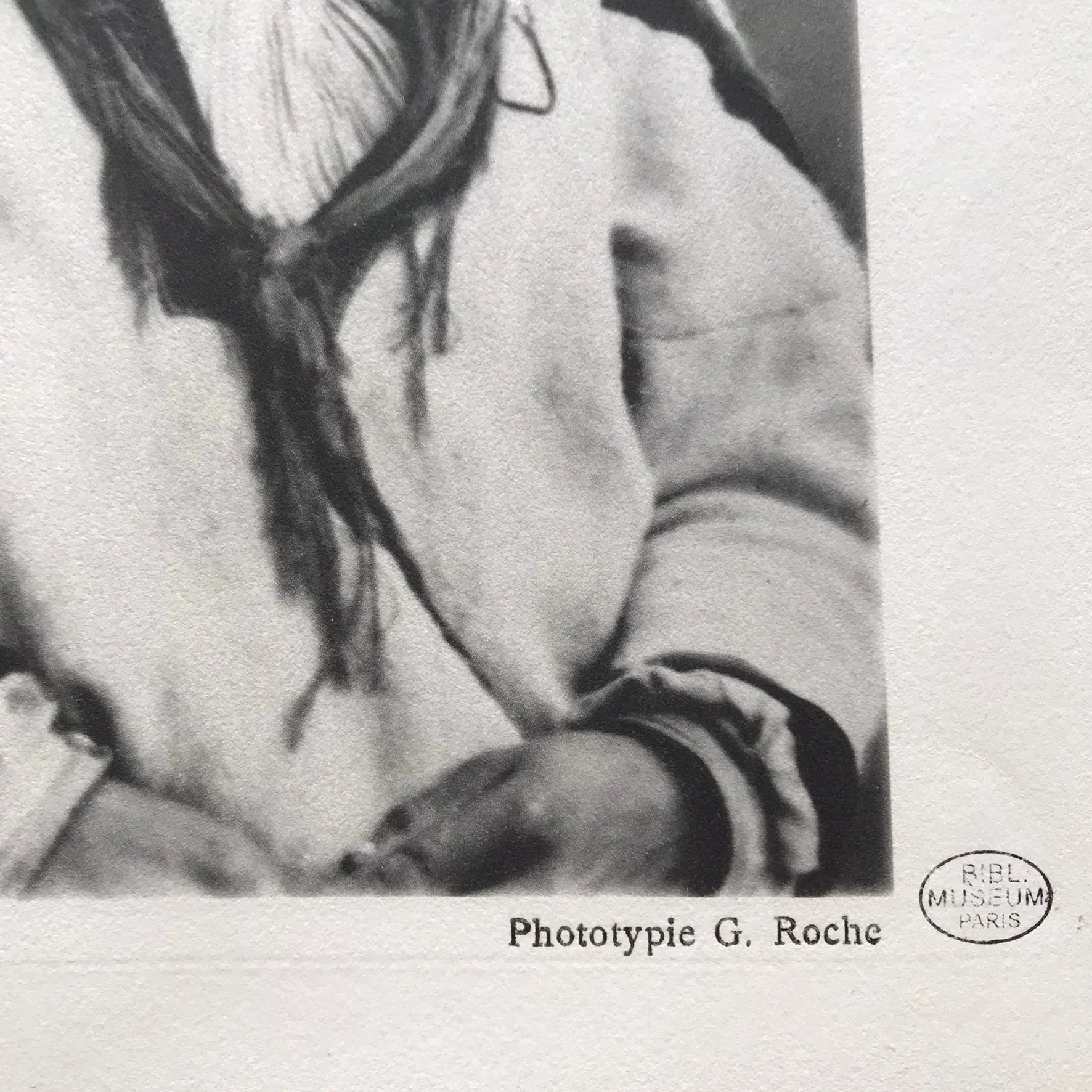 A detail of a collotype portrait from "Lapons, Collection du Prince R. Bonaparte", 1886