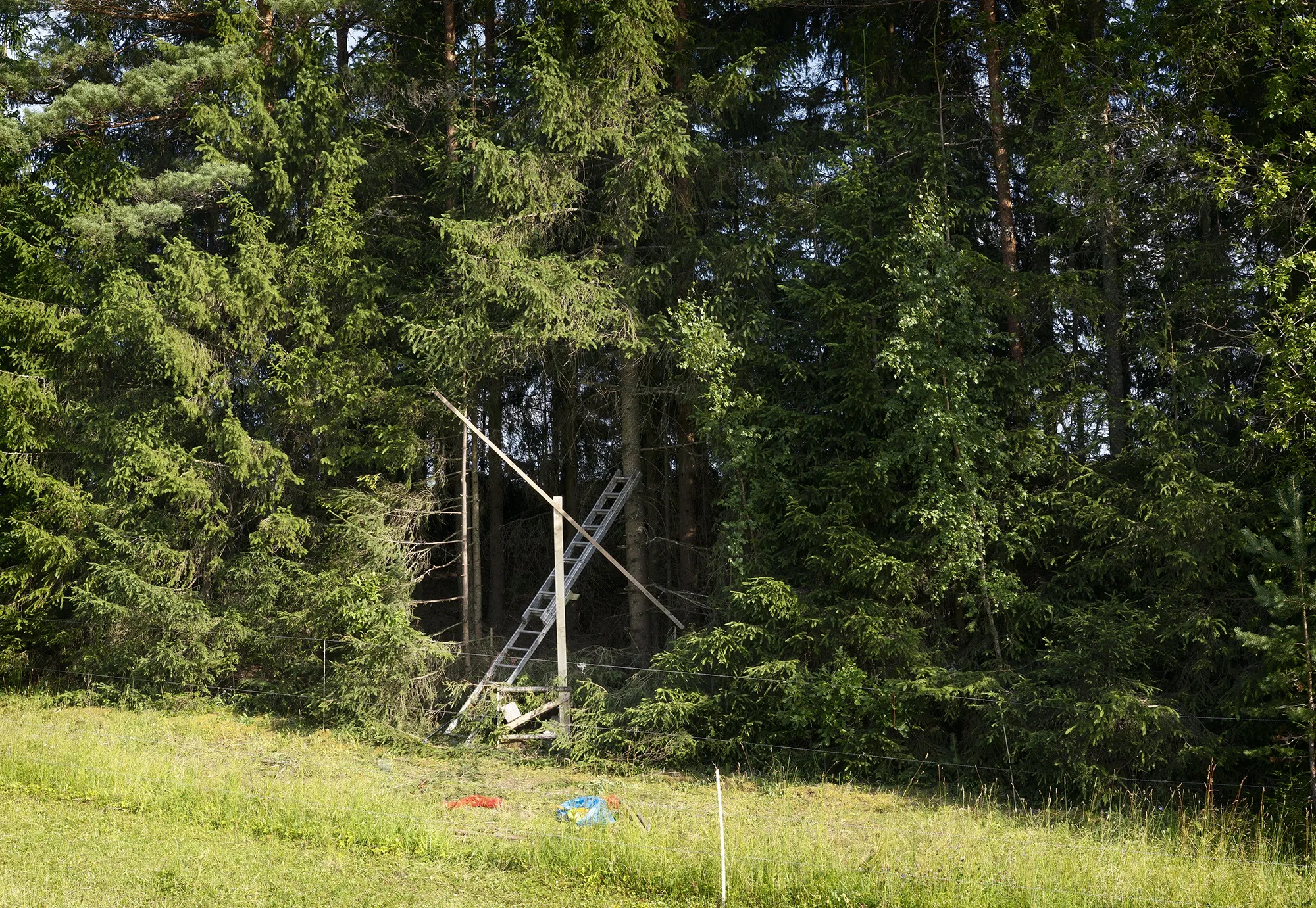 Cutting the opening for Broken Landscape IV in Maajam, Estonia in 2018 photo: Antti Laitinen
