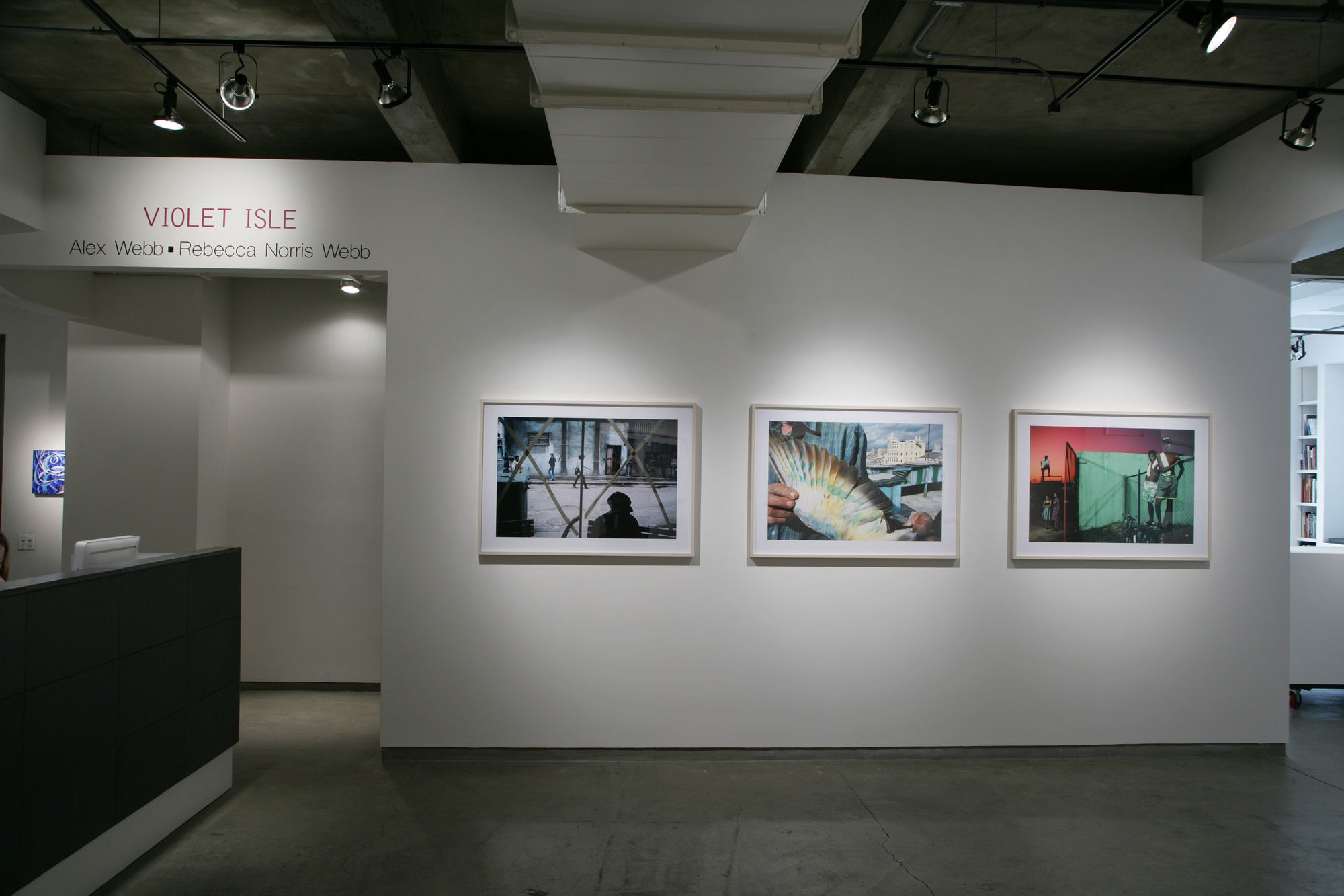 Rebecca Norris Webb and Alex Webb: Violet Isle