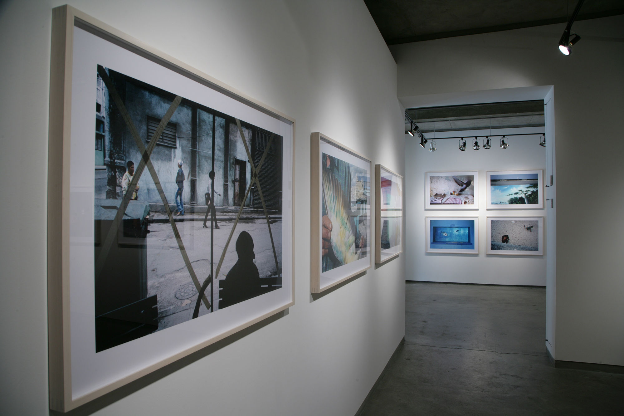 Rebecca Norris Webb and Alex Webb: Violet Isle