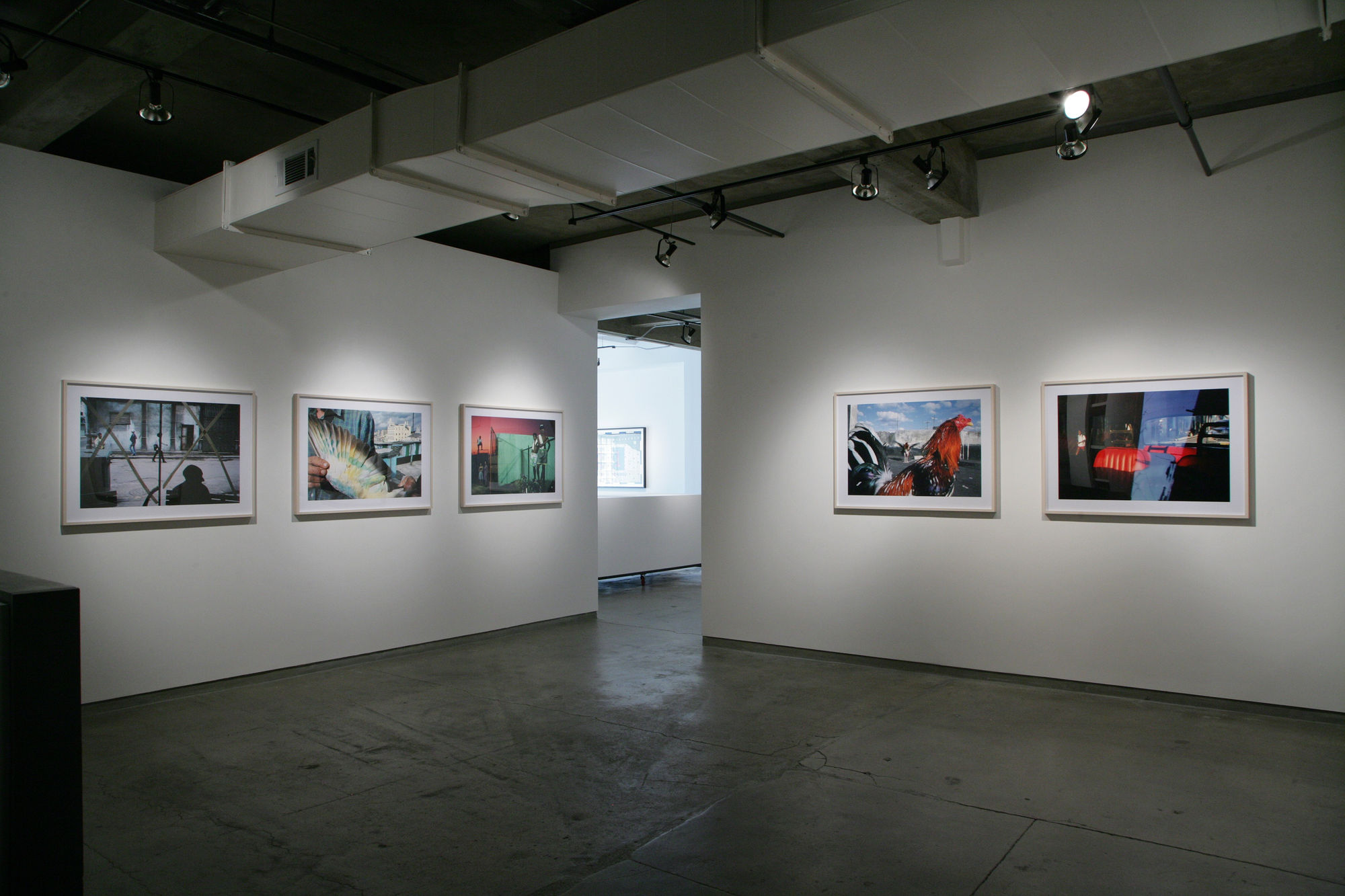 Rebecca Norris Webb and Alex Webb: Violet Isle