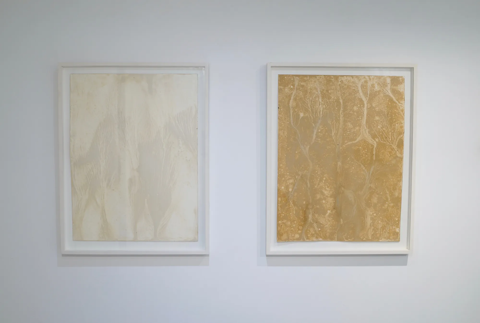 Shinji Turner-Yamamoto, Sidereal Silence: Irish Study #37, 2015