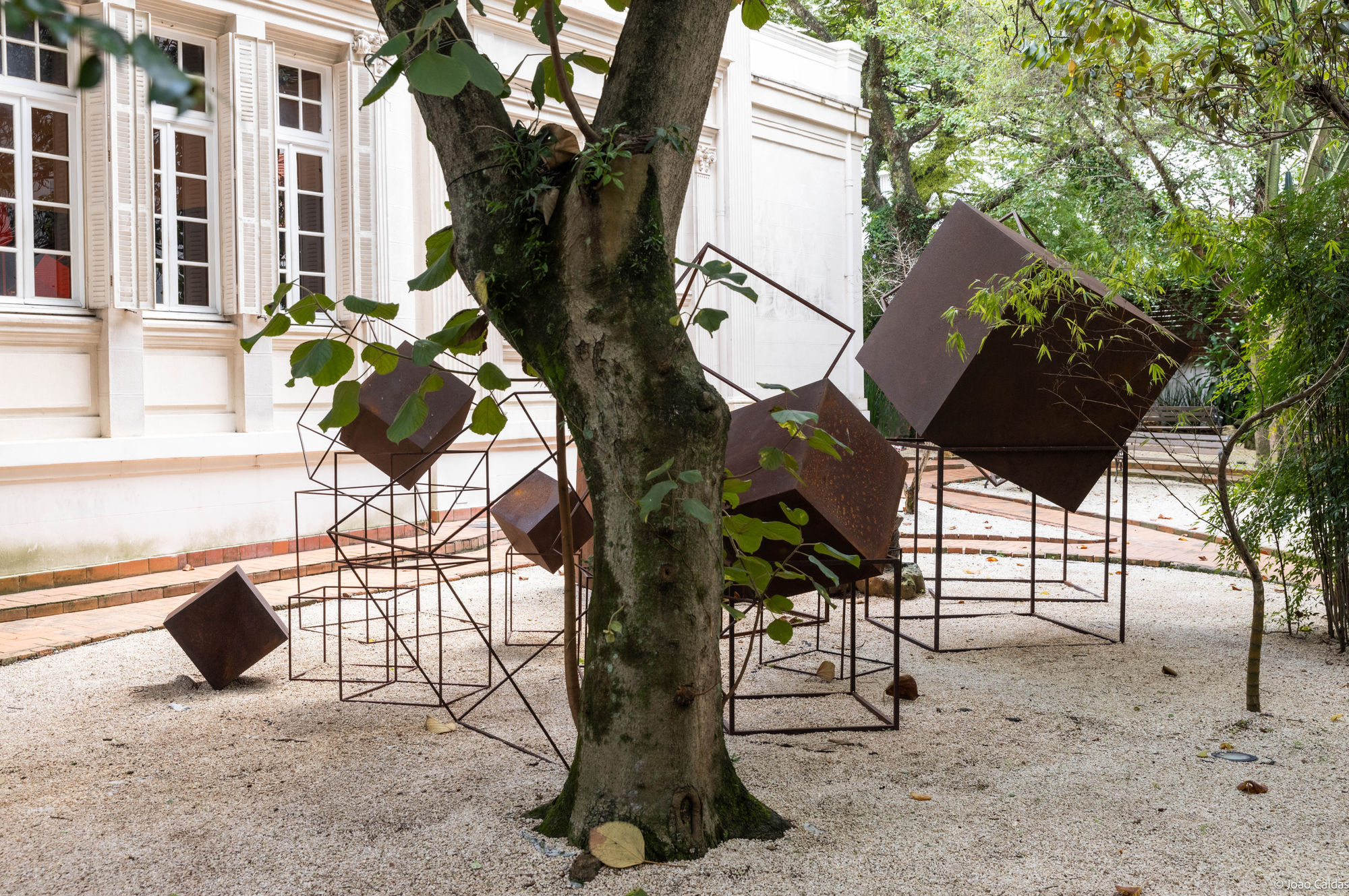 Lampejar, 2024. Instituto Artium de Cultura, São Paulo Foto João Caldas