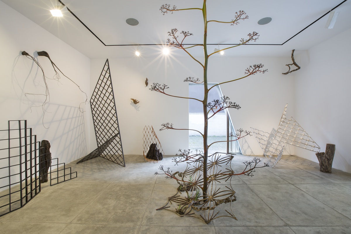 A Ferro e Fogo (Desdobramentos), 2016