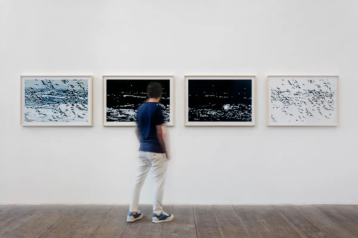 ANA CALZAVARA: ALÉM DO HORIZONTE