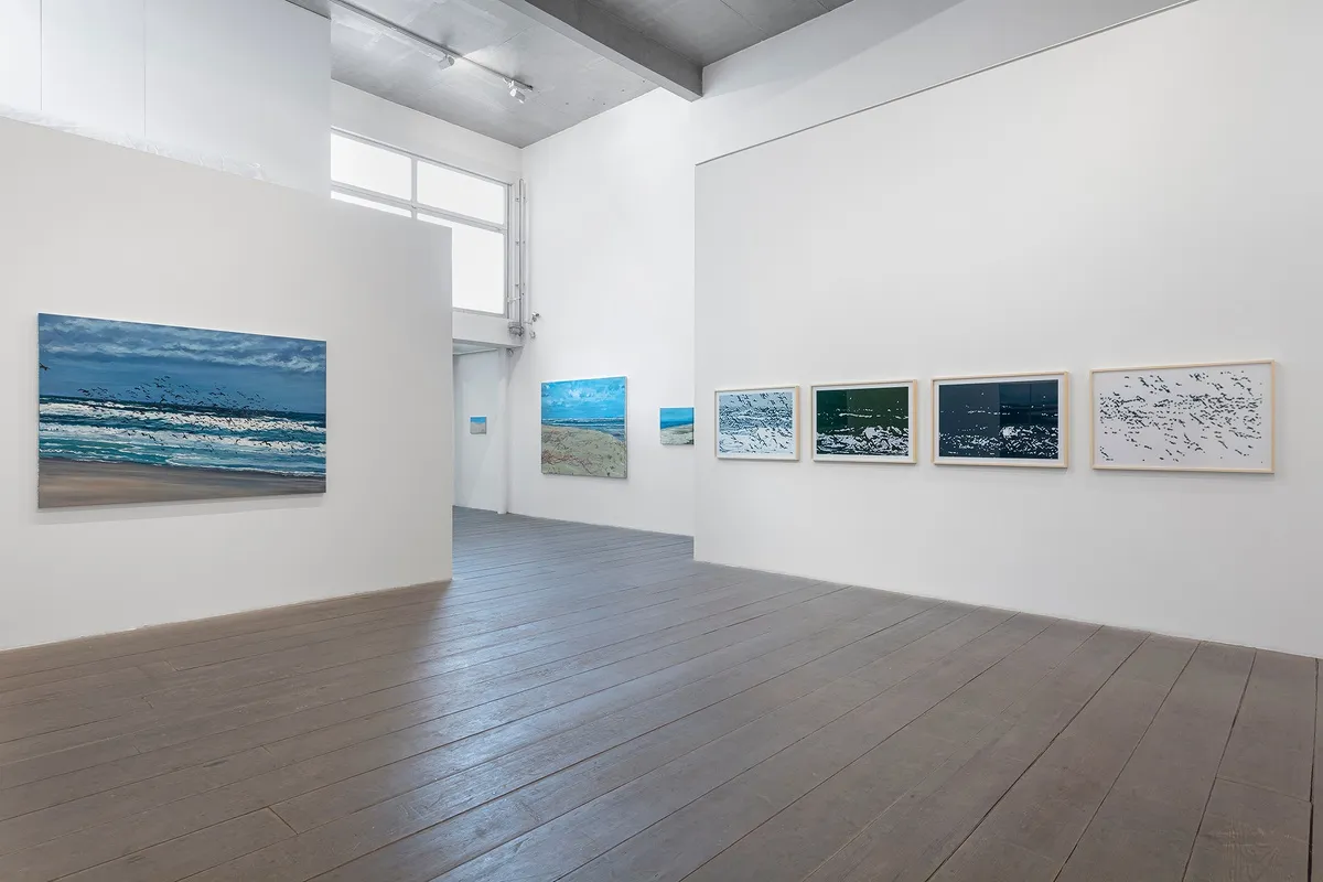 ANA CALZAVARA: ALÉM DO HORIZONTE