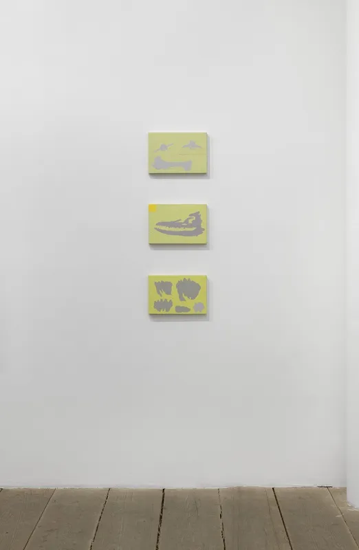 MARIANA SERRI: O JOGO DA AURORA