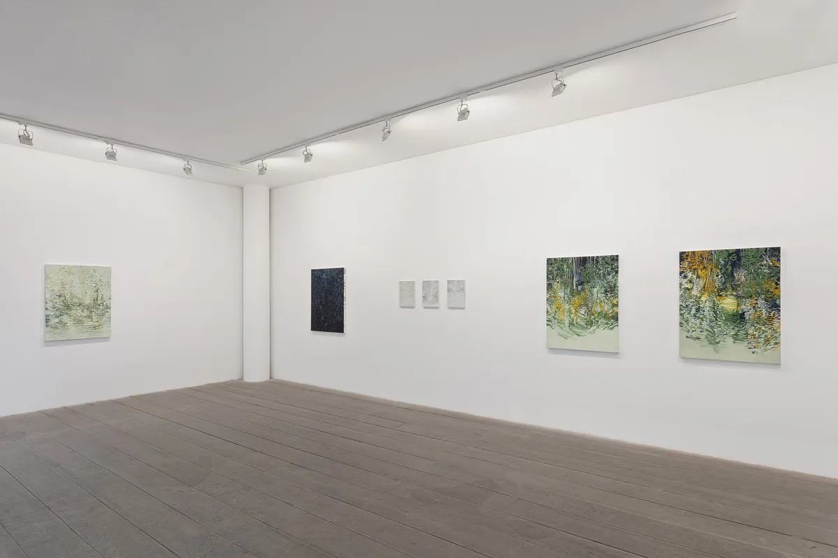 ALEXANDRE WAGNER: ÁGUA-VIVA