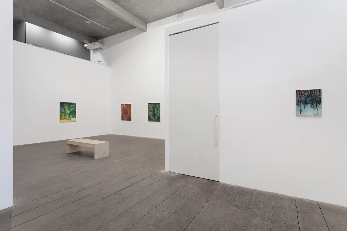 ALEXANDRE WAGNER: ÁGUA-VIVA