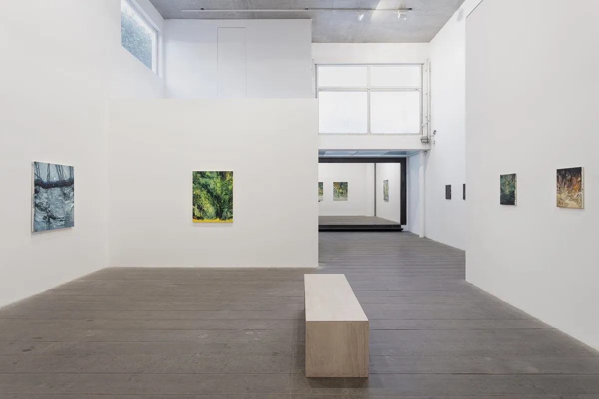 ALEXANDRE WAGNER: ÁGUA-VIVA