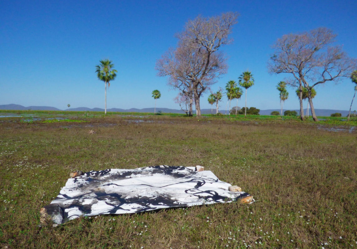 Fazenda Santa Tereza, 2018