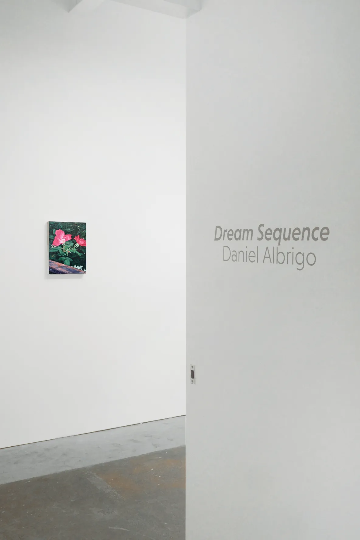 Daniel Albrigo - Dream Sequence