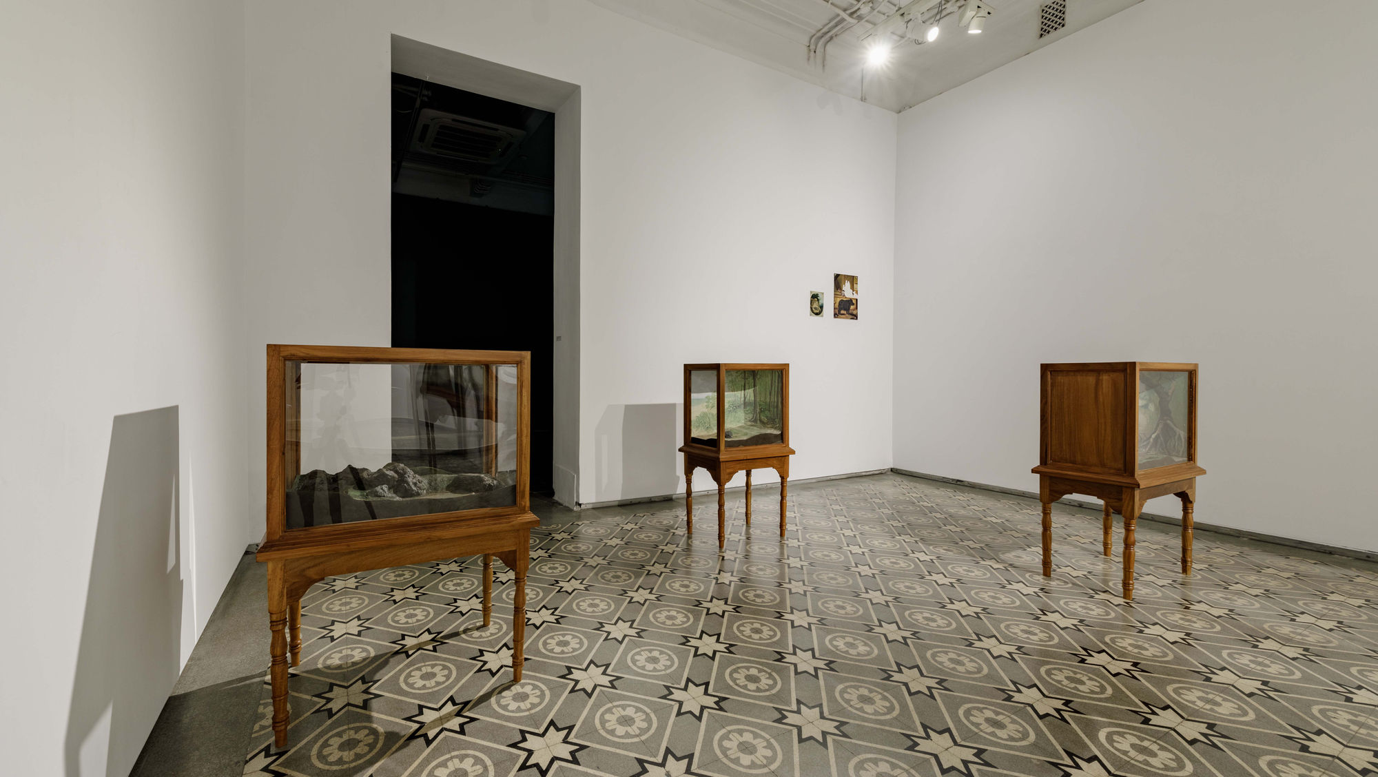 Sahil Naik | Specters, Specimens and Ships in Doubt