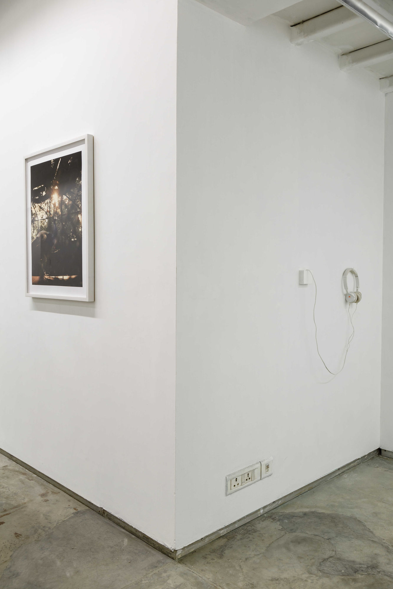 Soumya Sankar Bose | Full Moon on a Dark Night