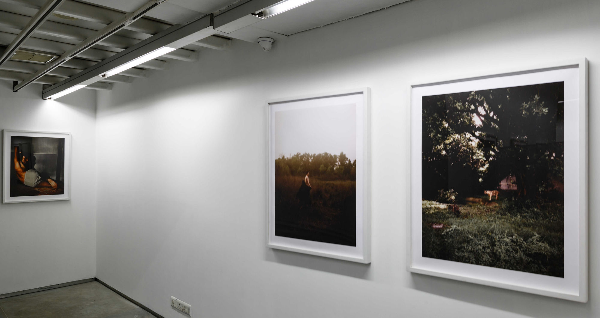 Soumya Sankar Bose | Full Moon on a Dark Night