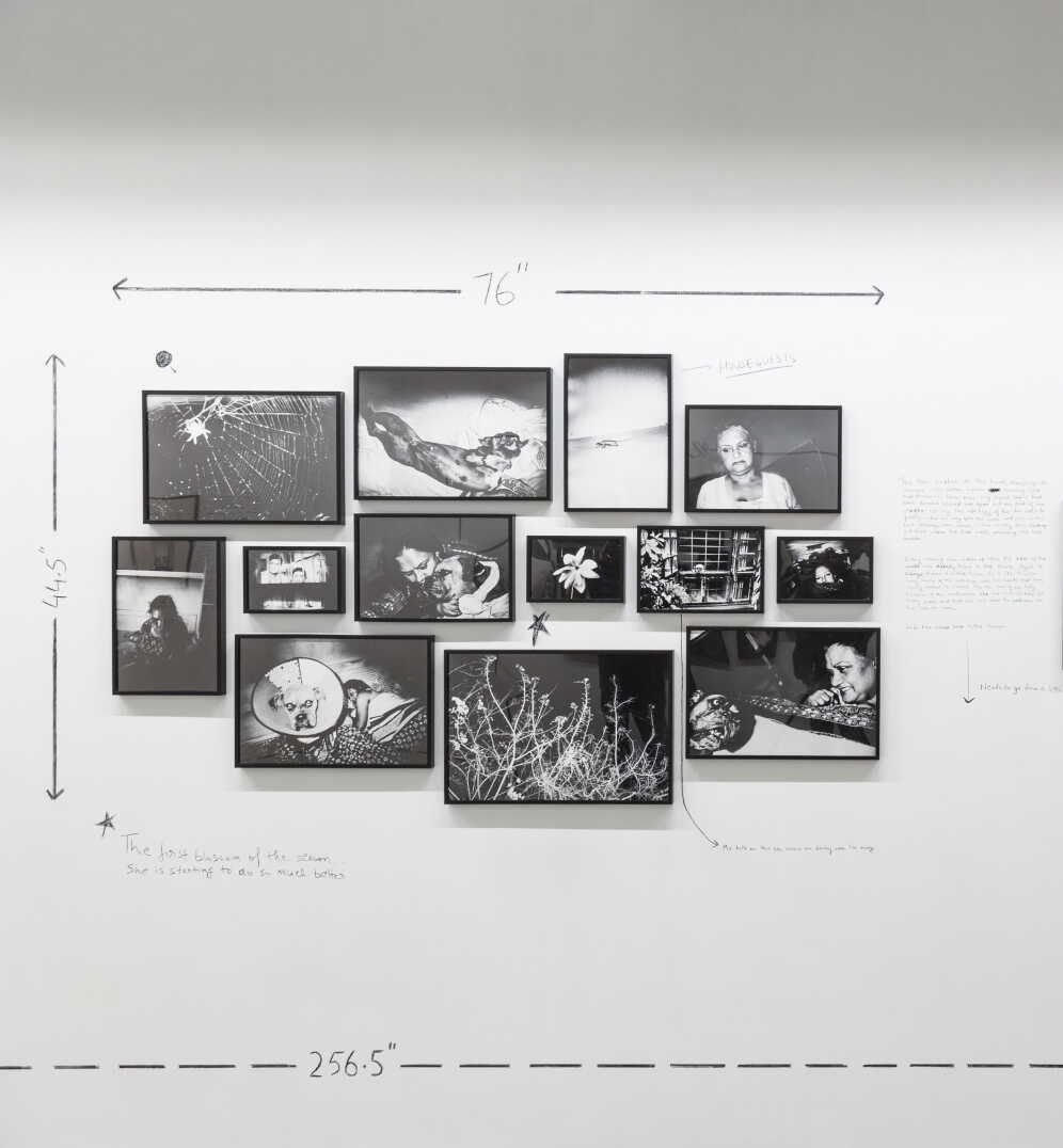 Sohrab Hura | Sweet Life