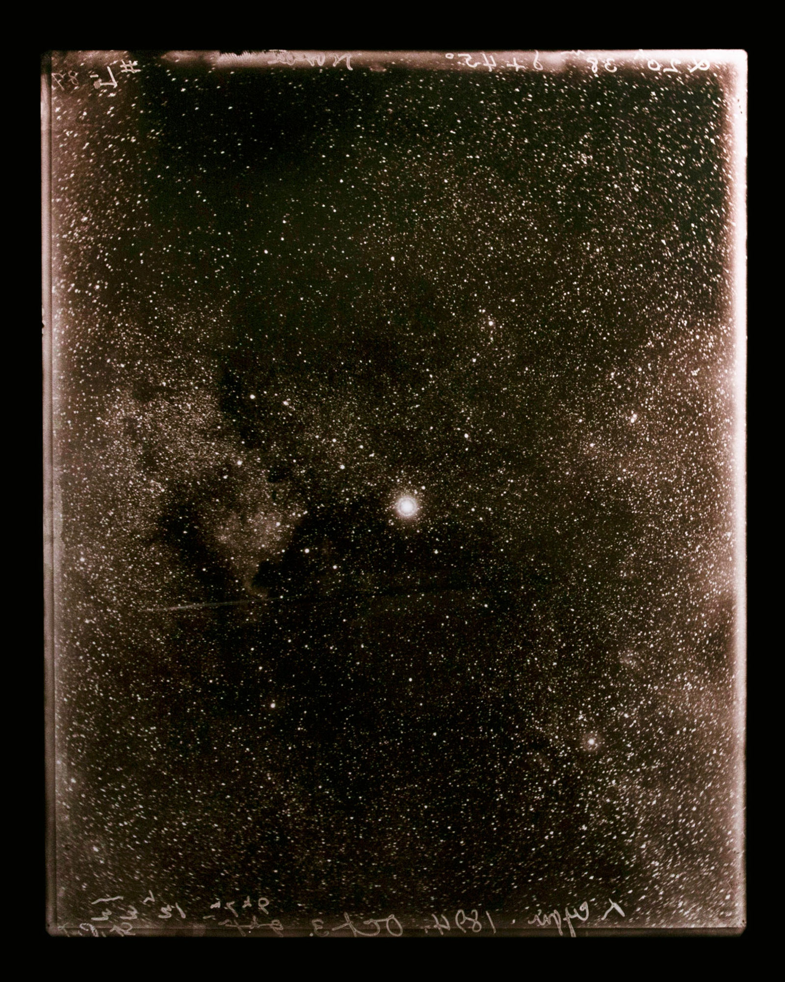 Linda Connor, October 3, 1894 (Center Star), 2014