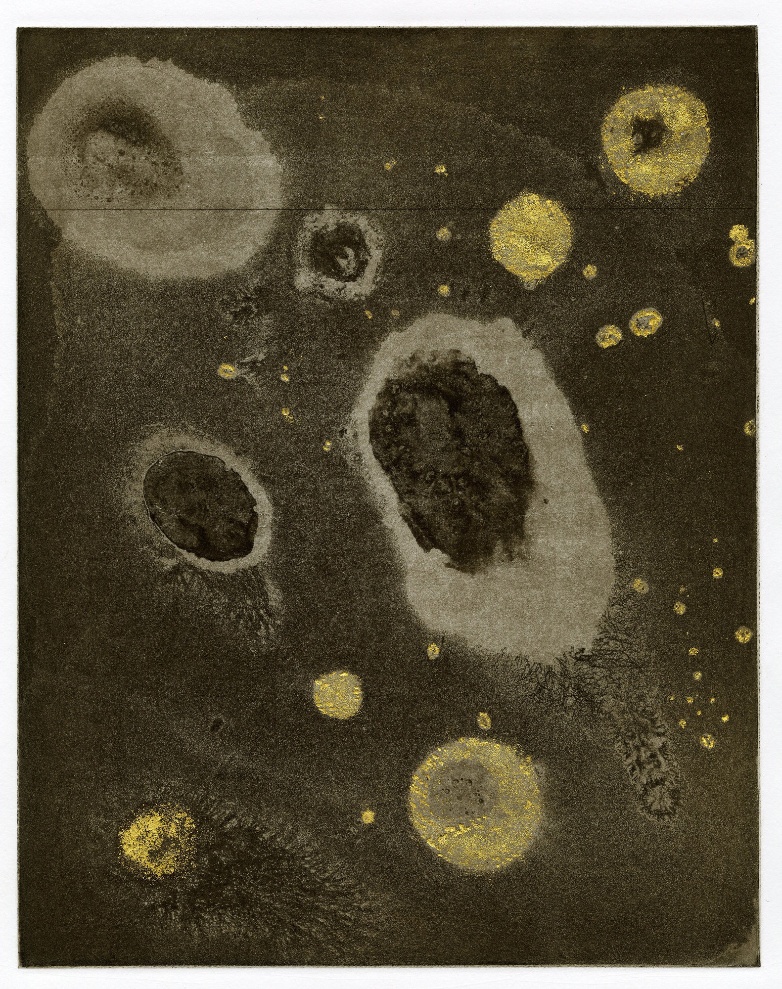 Modern Alchemy 9, 2023 Etching, aquatint with monoprint and gold leaf Edition of 6 Paper size: 56 x 37cms Image size: 31 x 24.5cms £... framed £... unframed