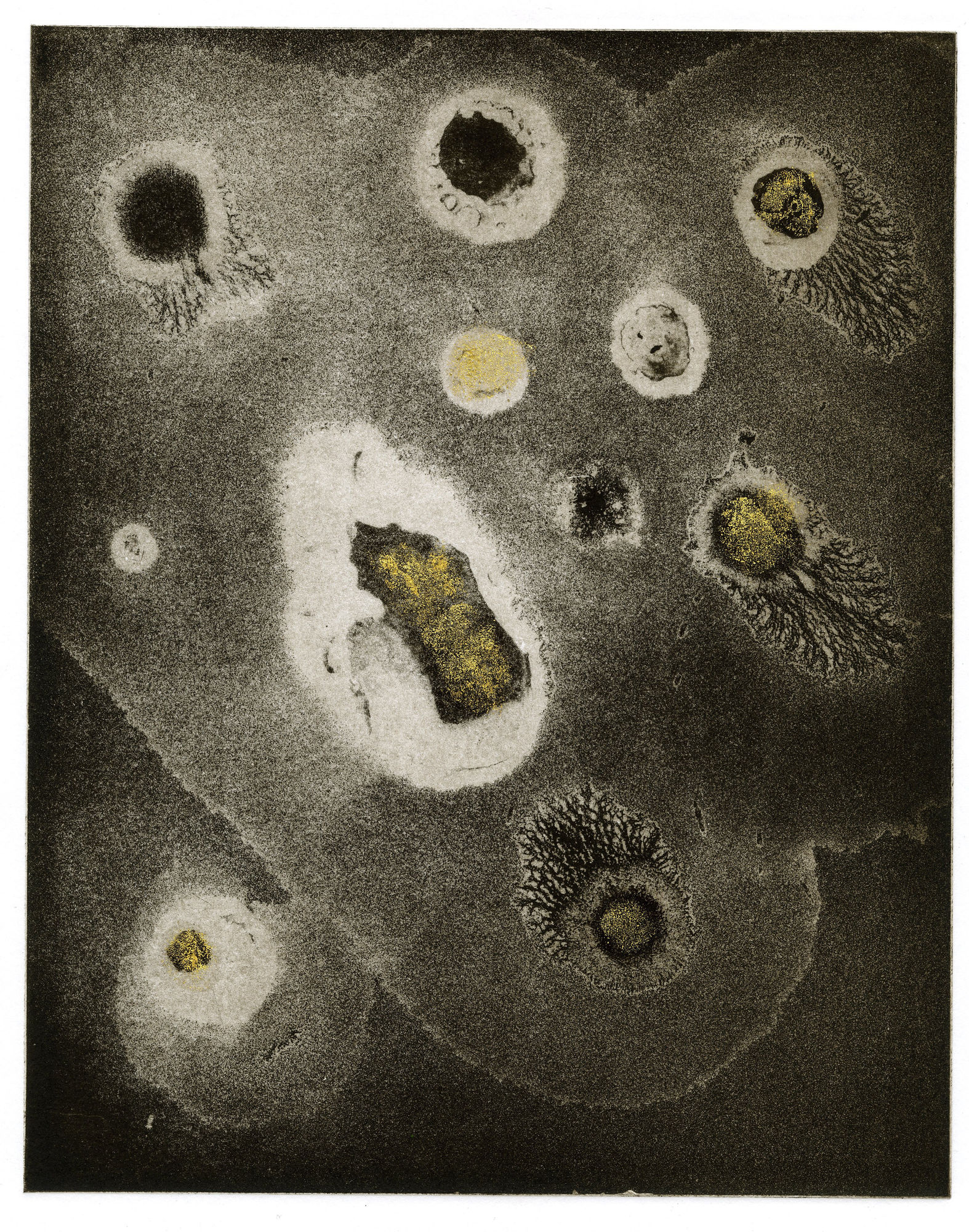 Modern Alchemy 11, 2023 Etching, aquatint with monoprint and gold leaf Edition of 6 Paper size: 56 x 37cms Image size: 31 x 24.5cms £... framed £... unframed