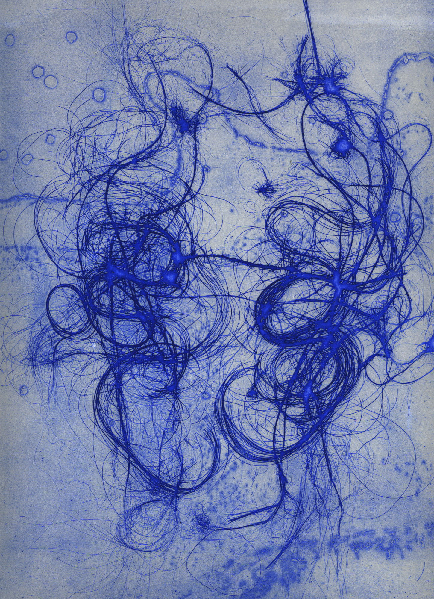 The Entangled Self 2, 2014 Polymer plate etching Edition of 8 Paper size: 46 x 35cms Image size: 31 x 25cms £900 unframed £1150 framed