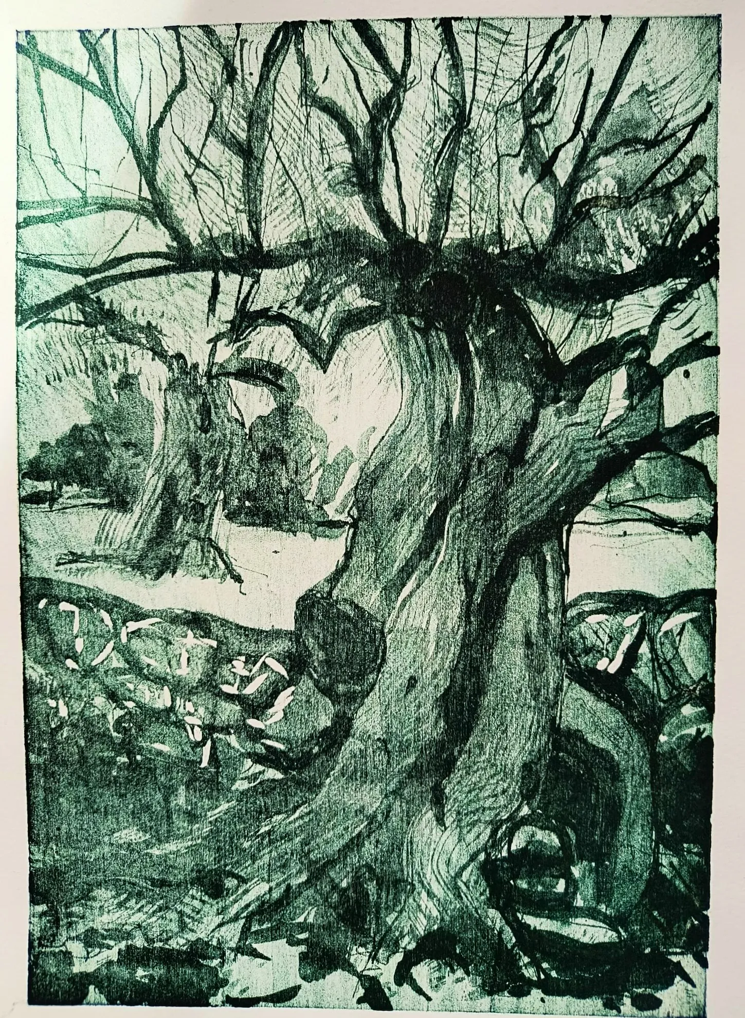 Karen Shewan, Olive Trees, 2025