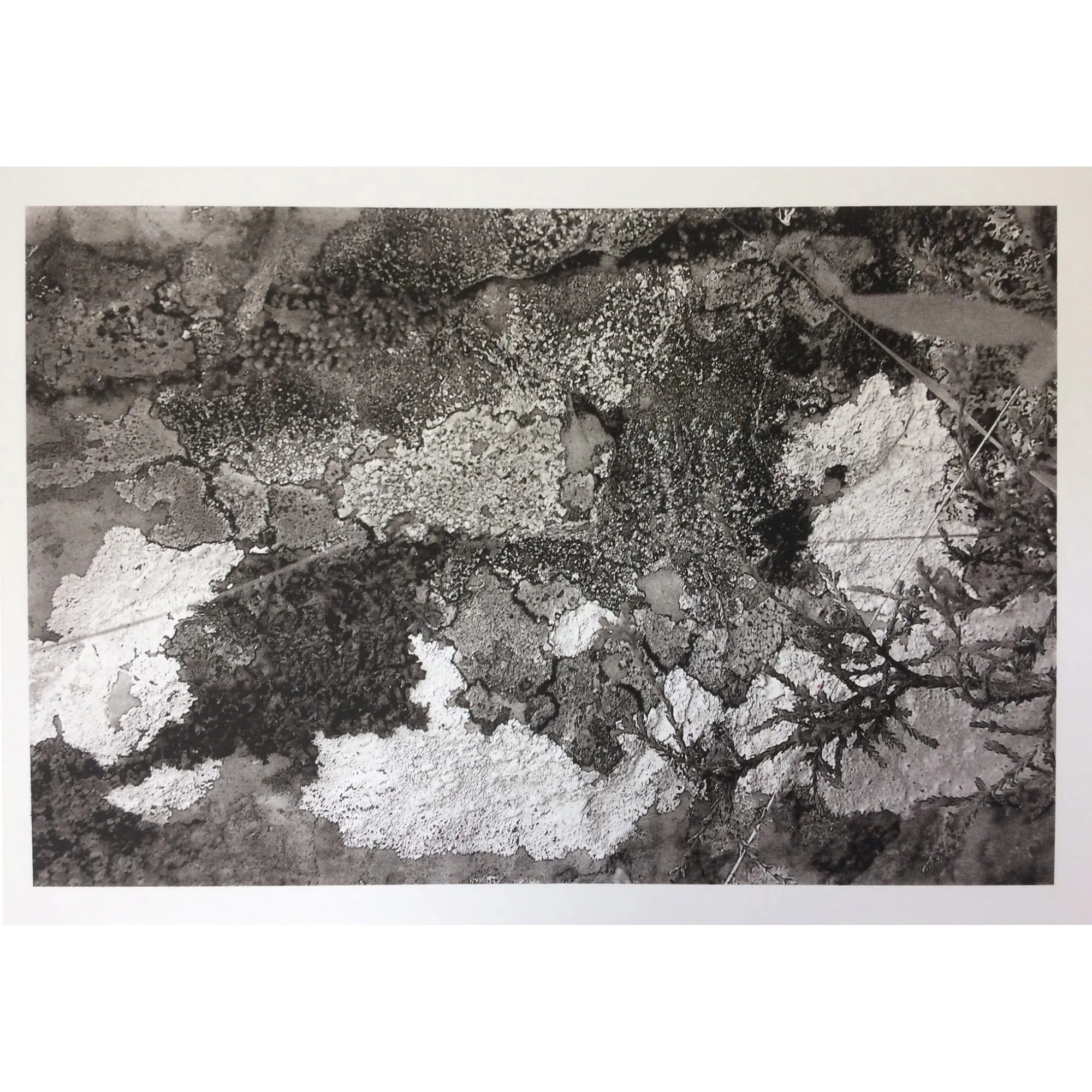 Ravi Agarwal, Nàdar Landscapes Series 1, 2018