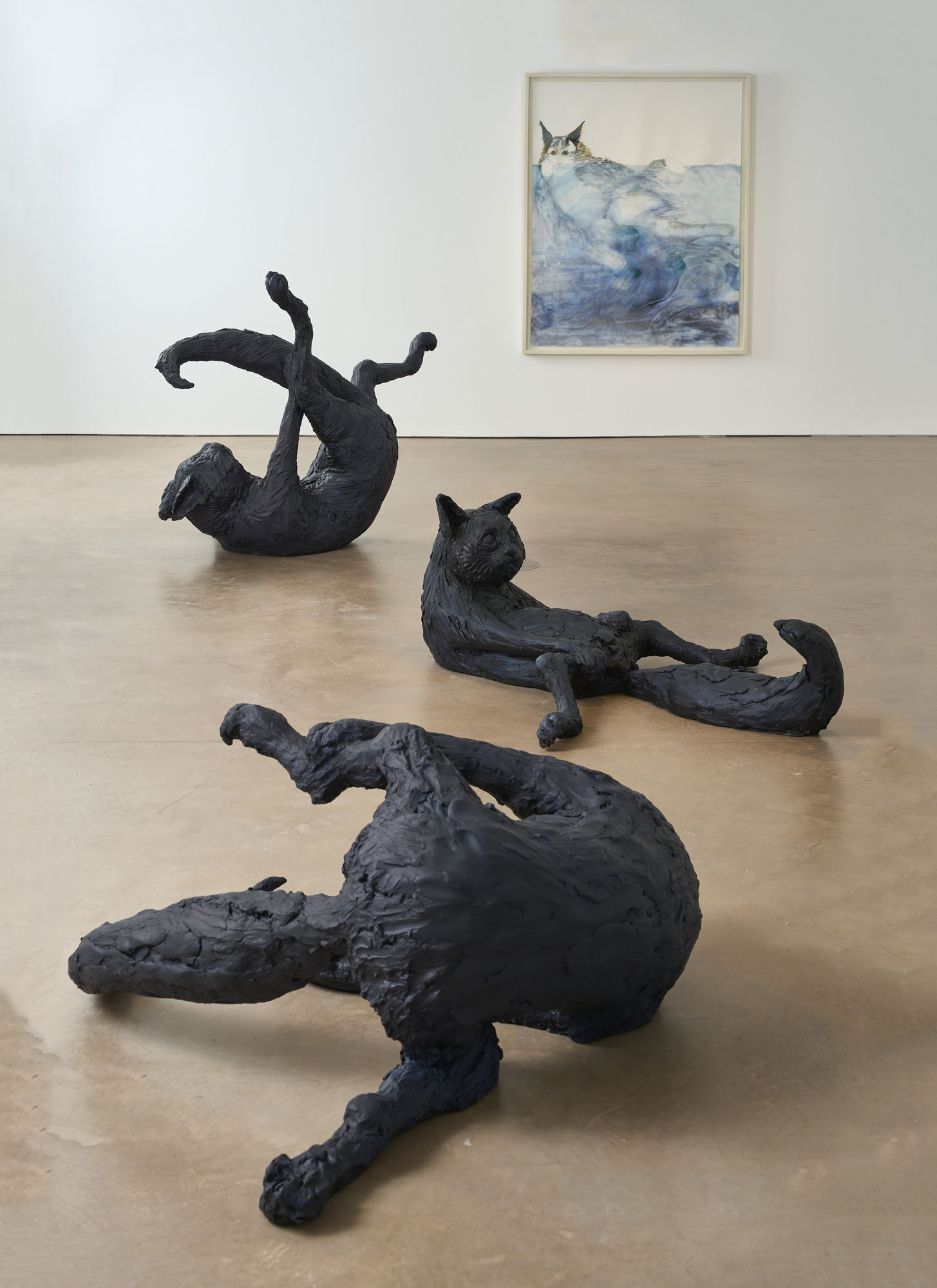 LAURA FORD: REVEAL AND CONCEAL