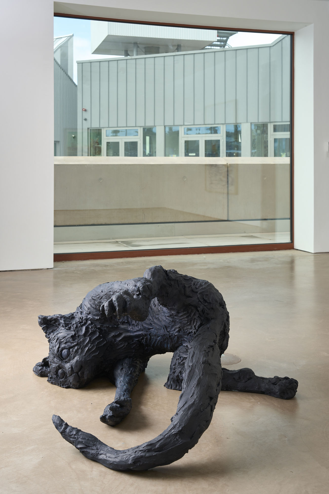 LAURA FORD: REVEAL AND CONCEAL