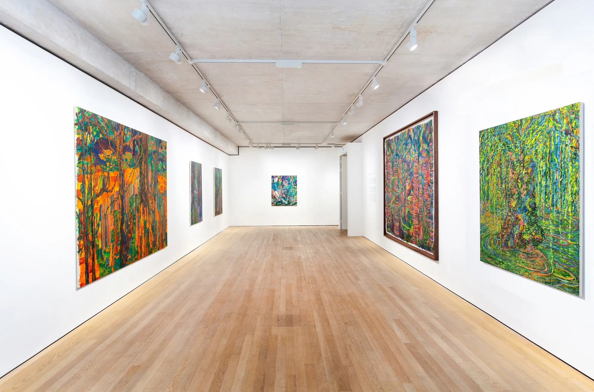 Kathryn Maple: Beneath the Swamp Cypress