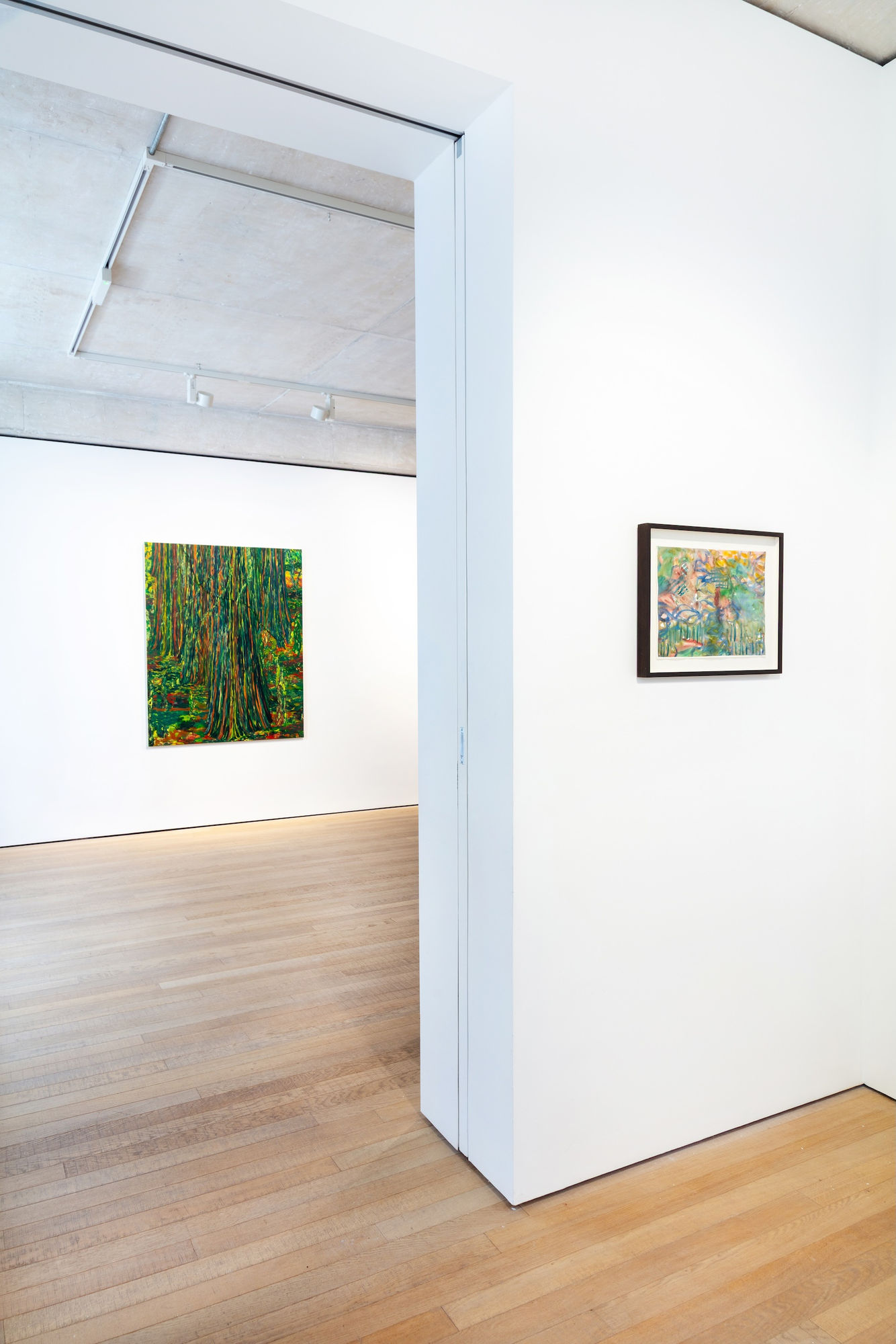 Kathryn Maple: Beneath the Swamp Cypress