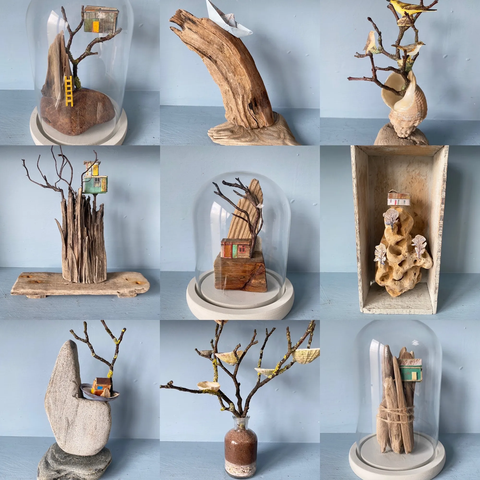 'Cabinet of curiosities