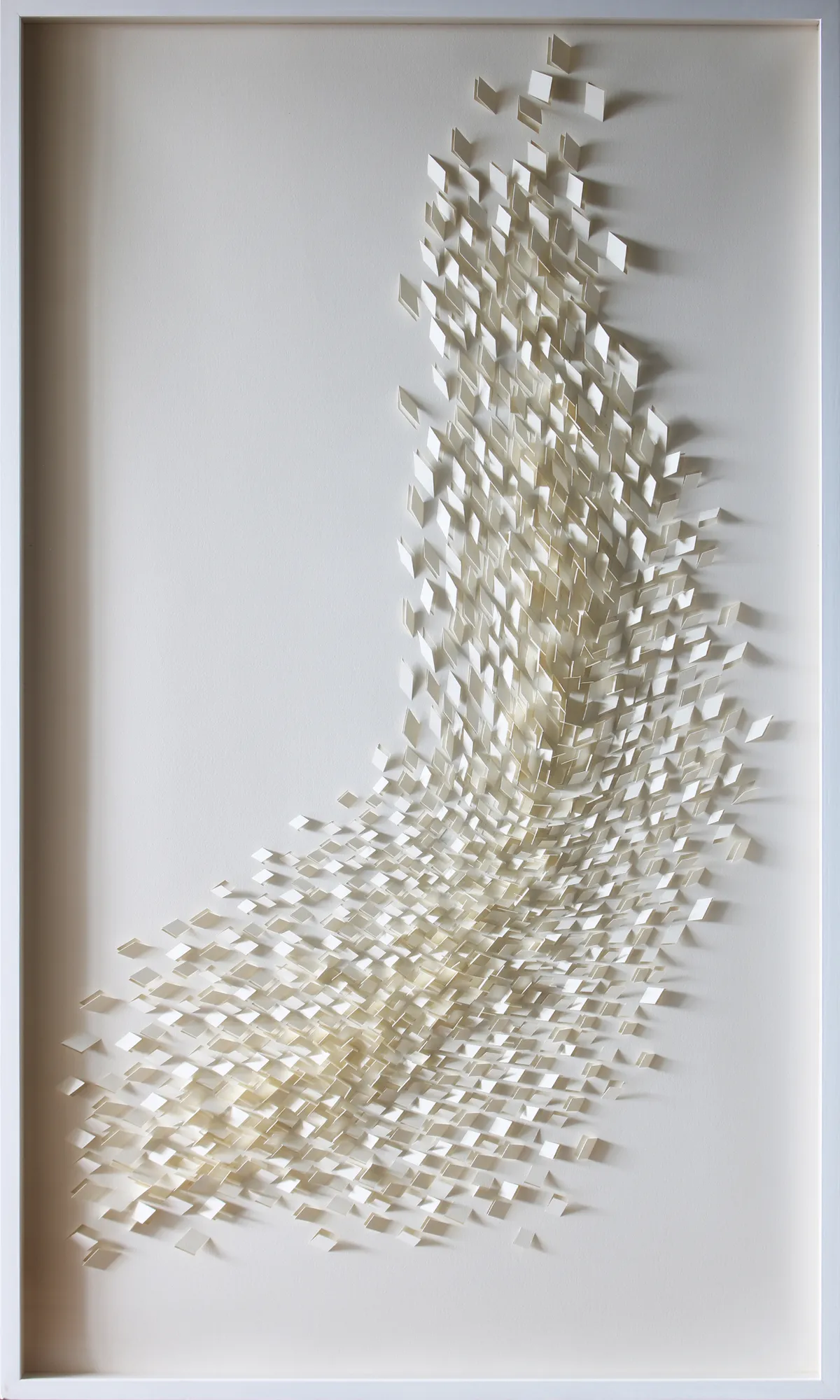 SILENCE & SHADOW | SACHIN TEKADE