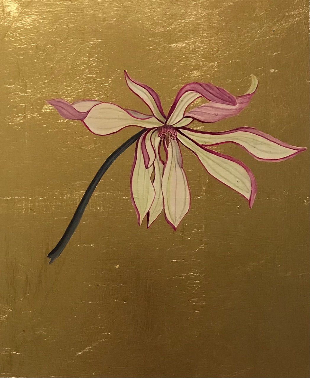 Mariella Baldwin, Magnolia Soulangeana