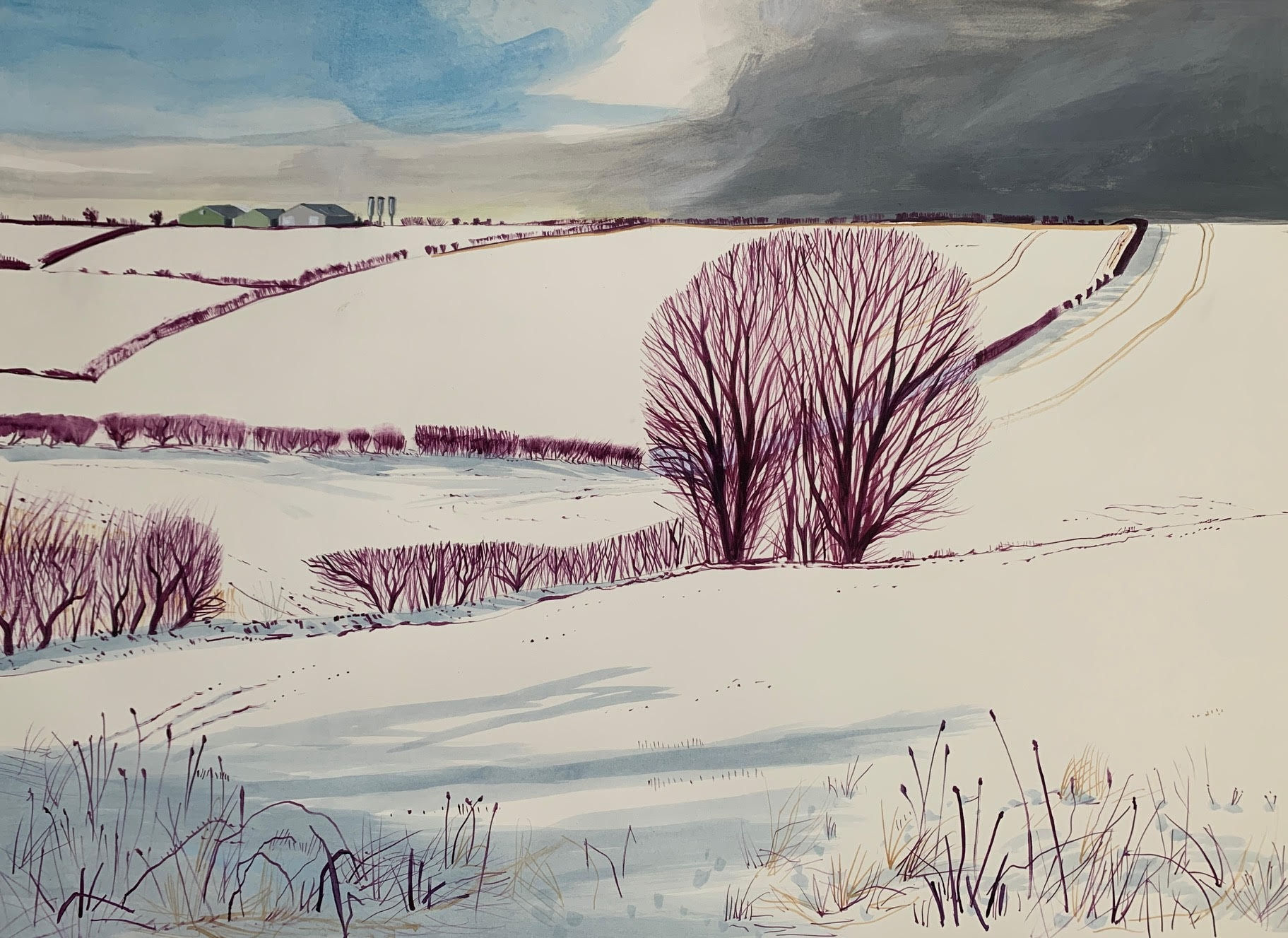 Cornelia Fitzroy, Snow Fields