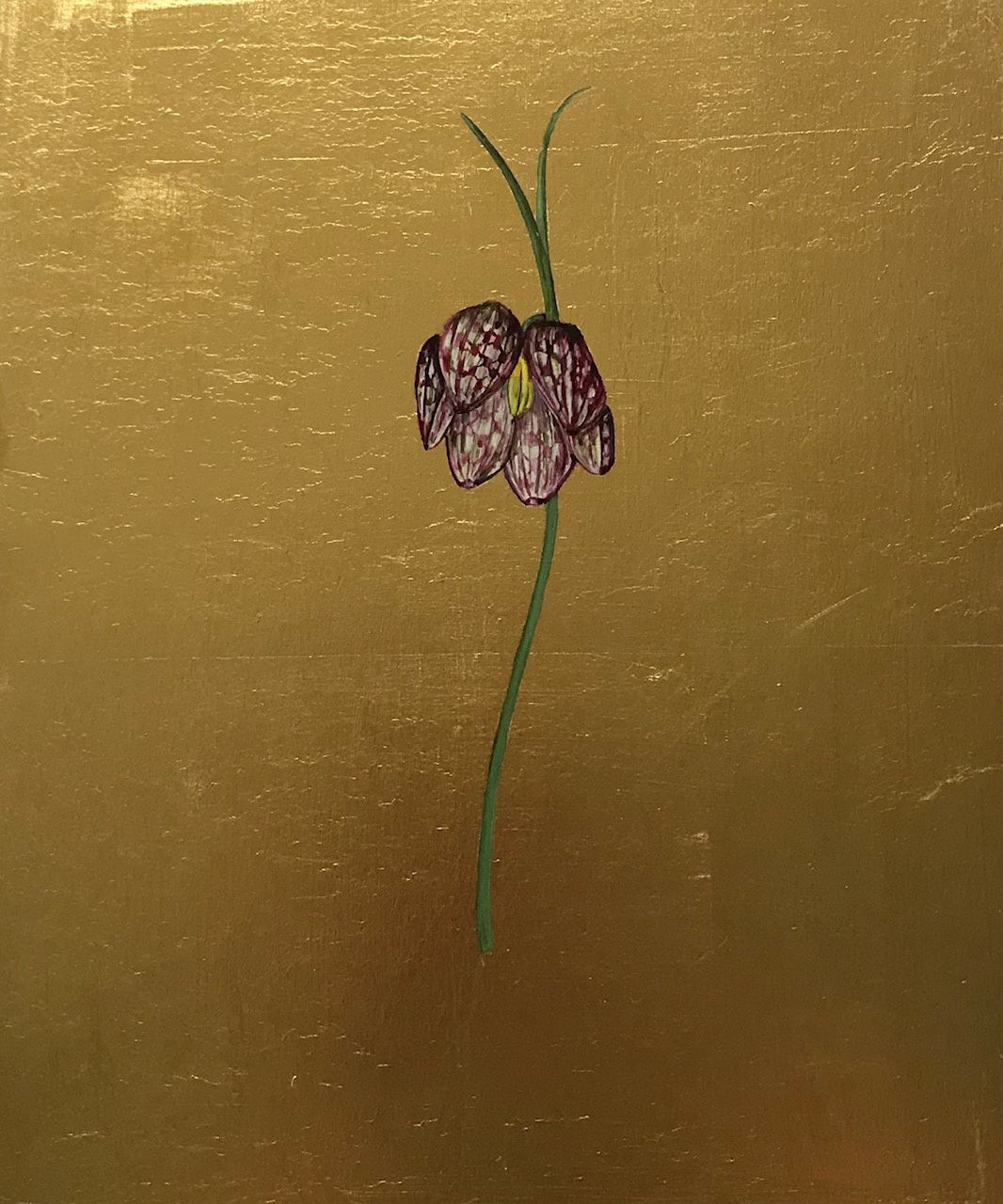 Mariella Baldwin, Snakeshead Fritillary