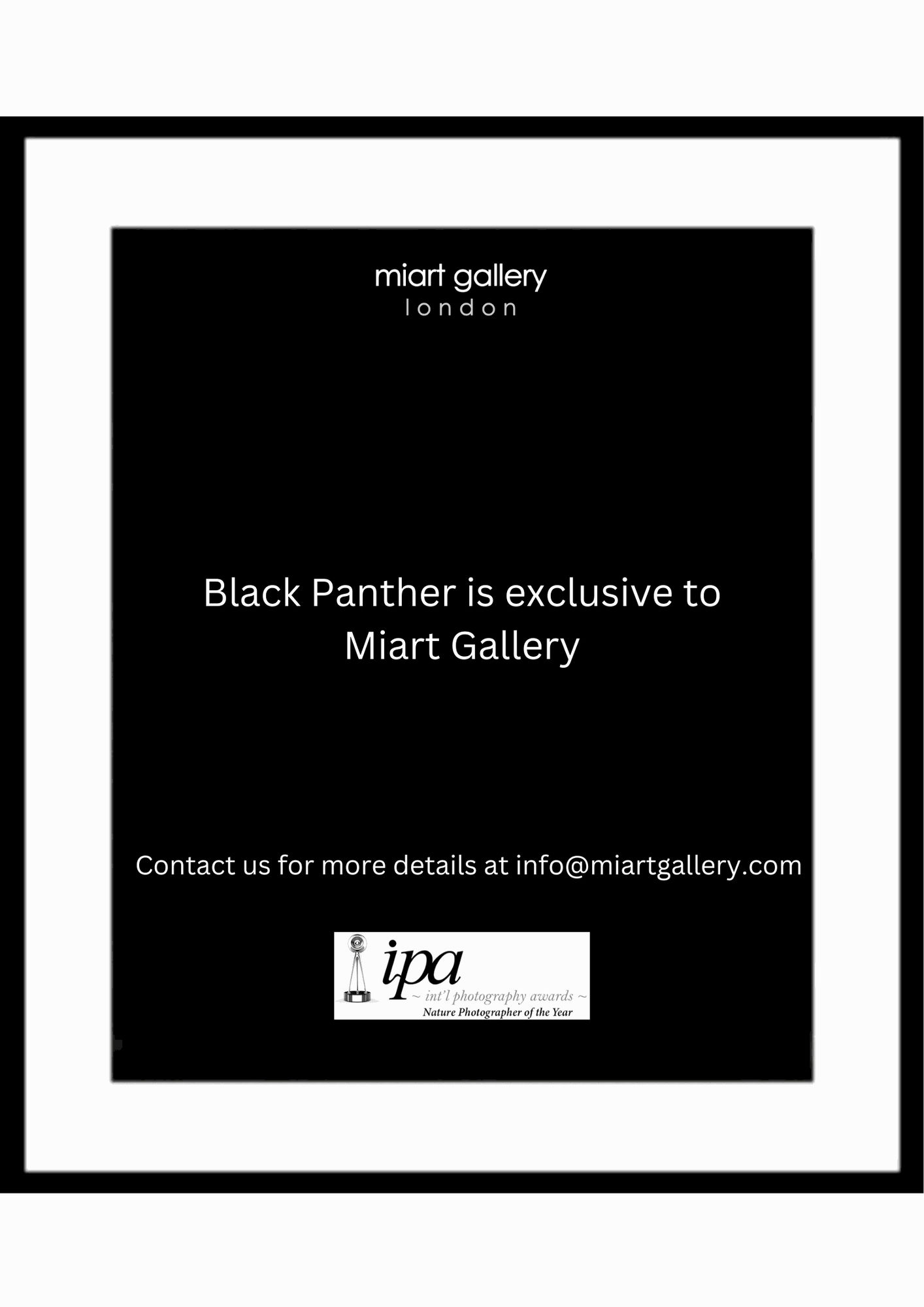 Lars Beusker, Black Panther, 2021