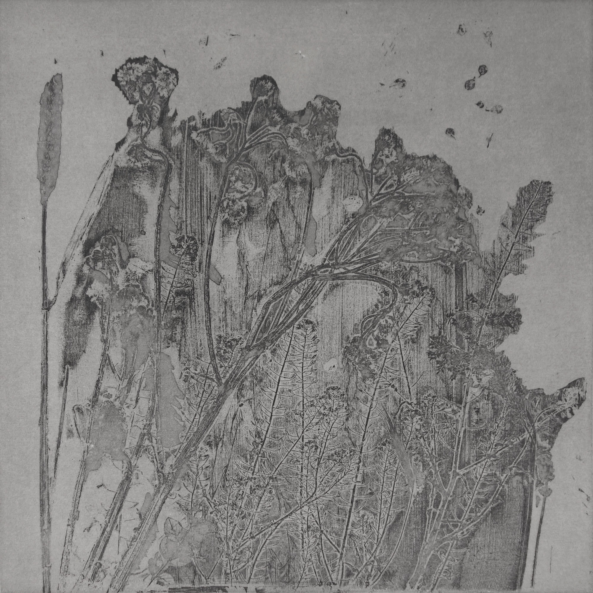 Greenwich Printmakers