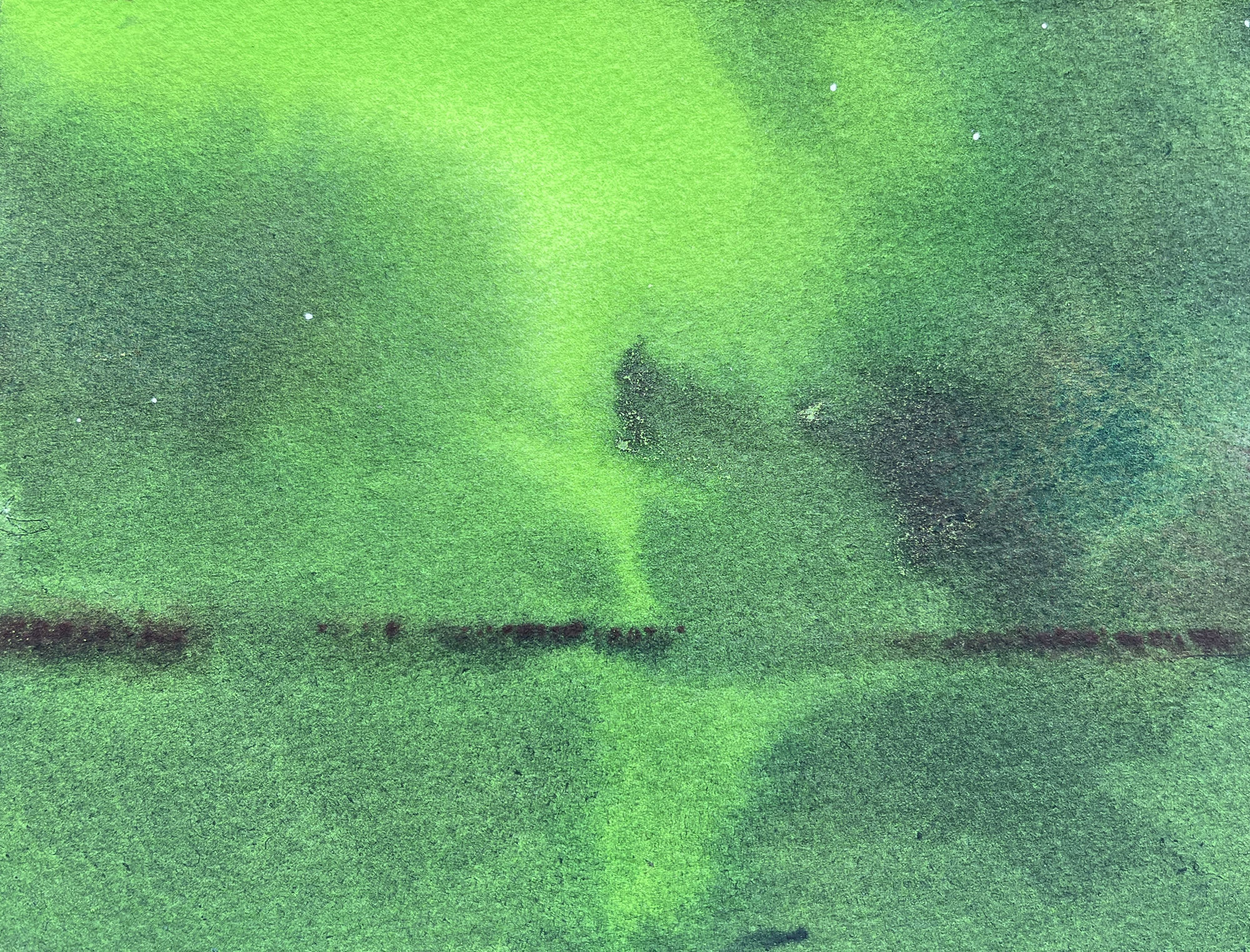 The Royal Watercolour Society