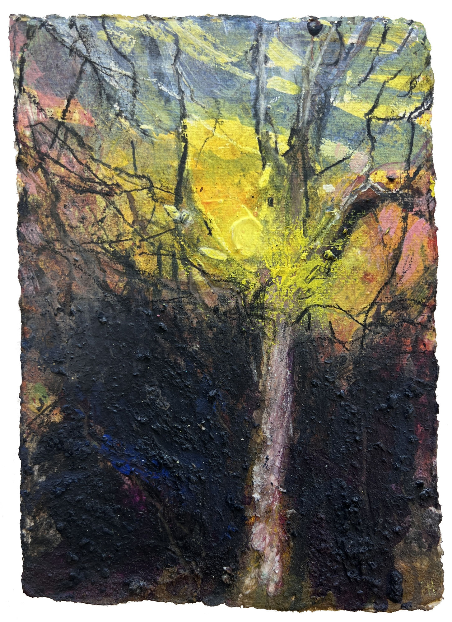 The Royal Watercolour Society