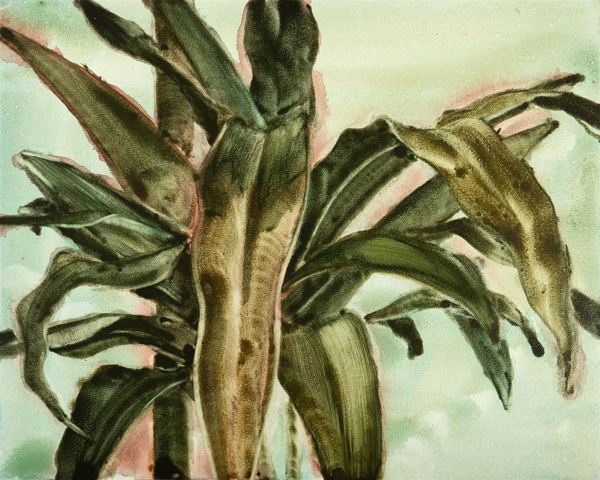 The Royal Watercolour Society