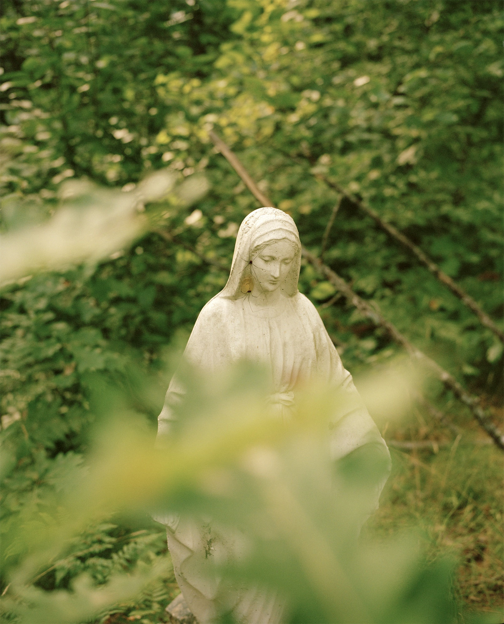 Madonna with two spiders, 2019