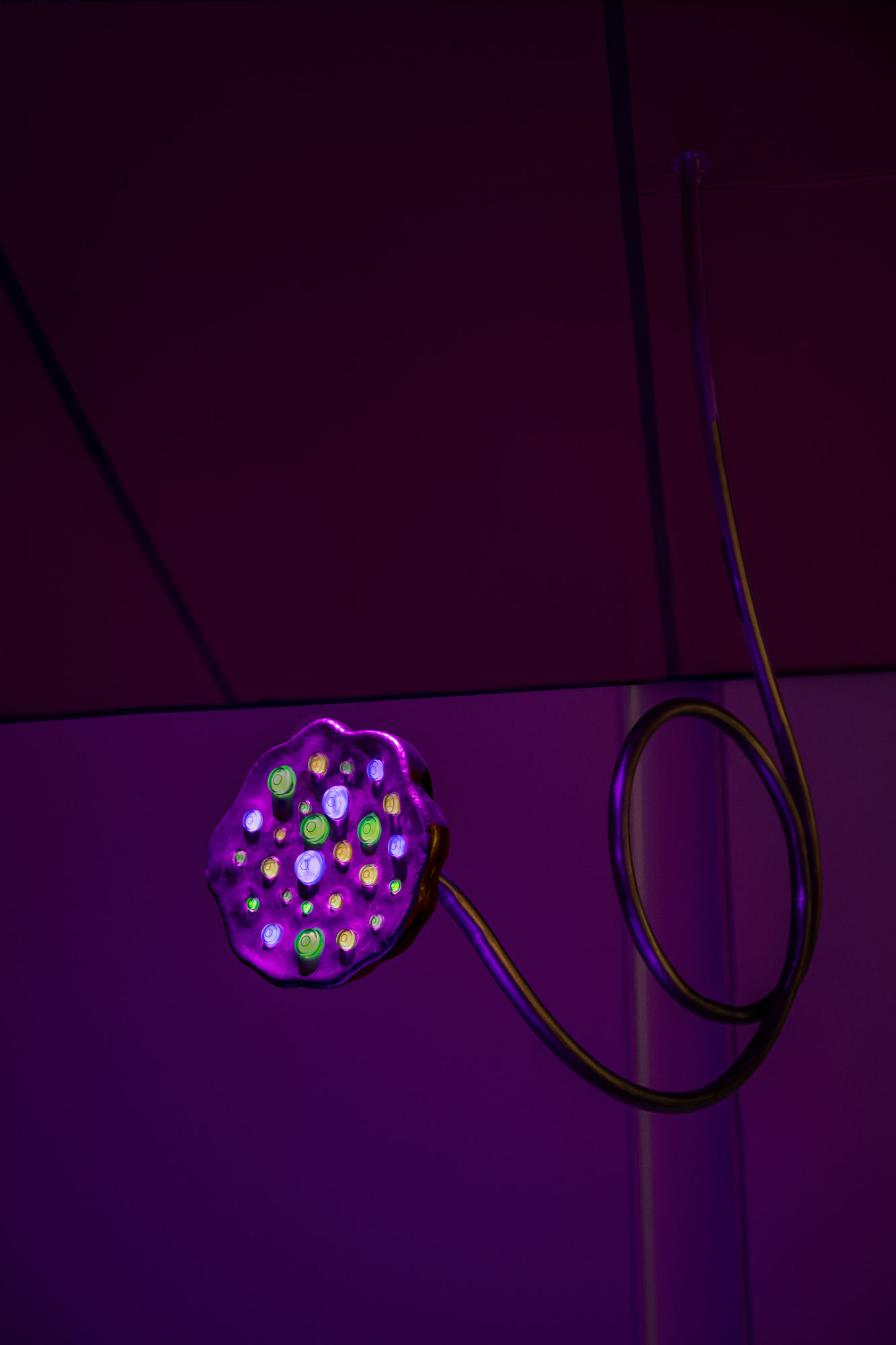 Arrangement #1 (Mirror mirror), 2025