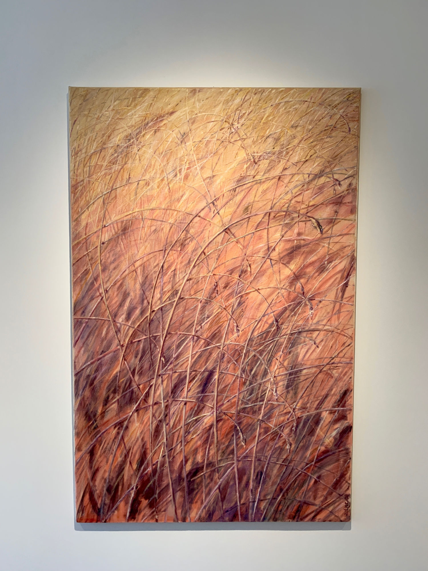 MICHAEL HULME: THROUGH HIS EYES