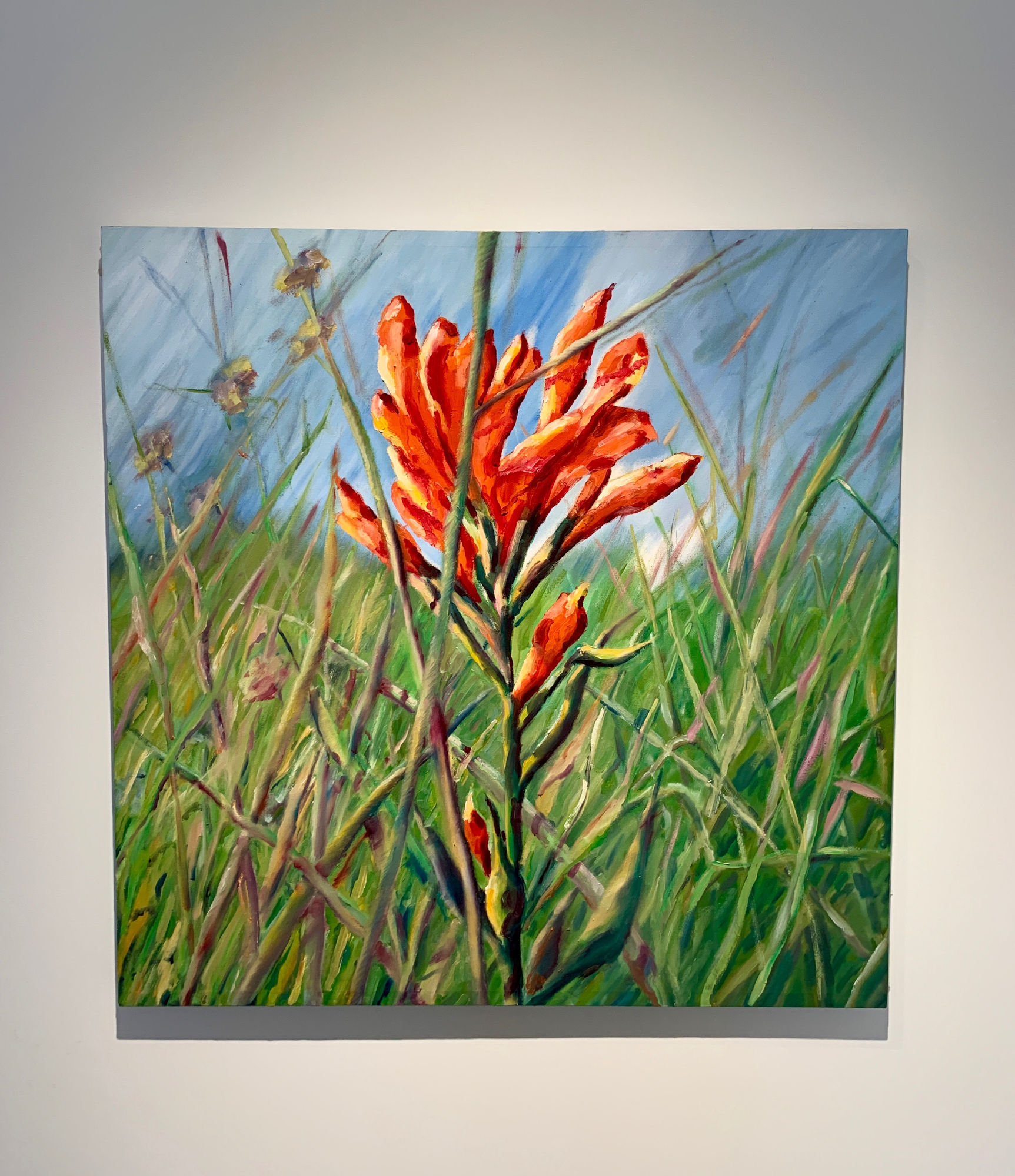 MICHAEL HULME: THROUGH HIS EYES