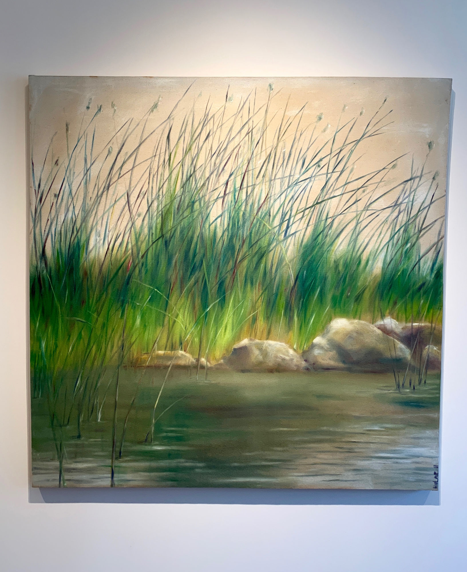 MICHAEL HULME: THROUGH HIS EYES