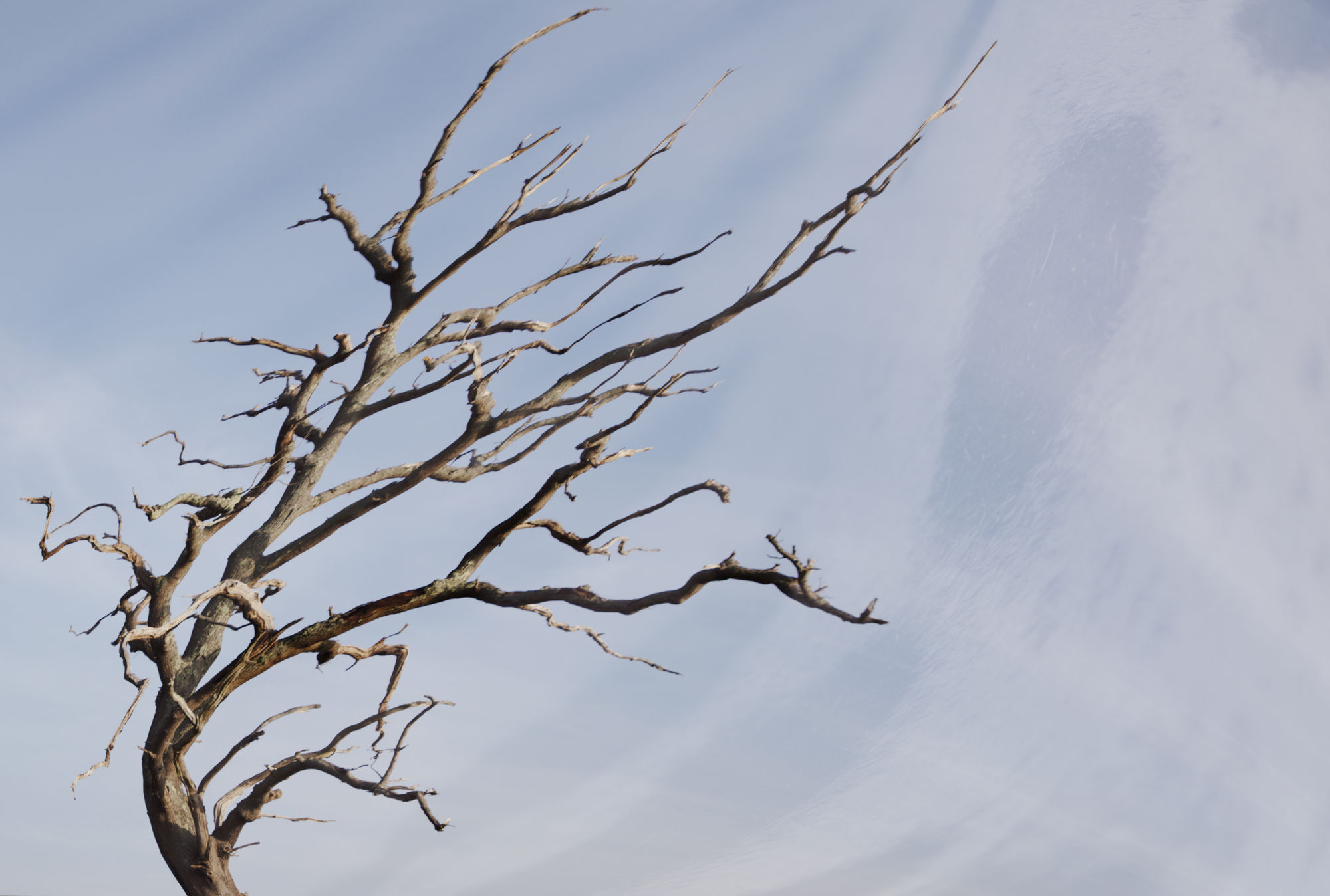 Firstname Lastname, Title, 2019