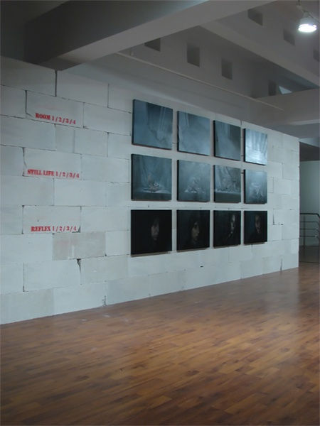 ANA-MARIA MICU: IDEAL SPLEEN