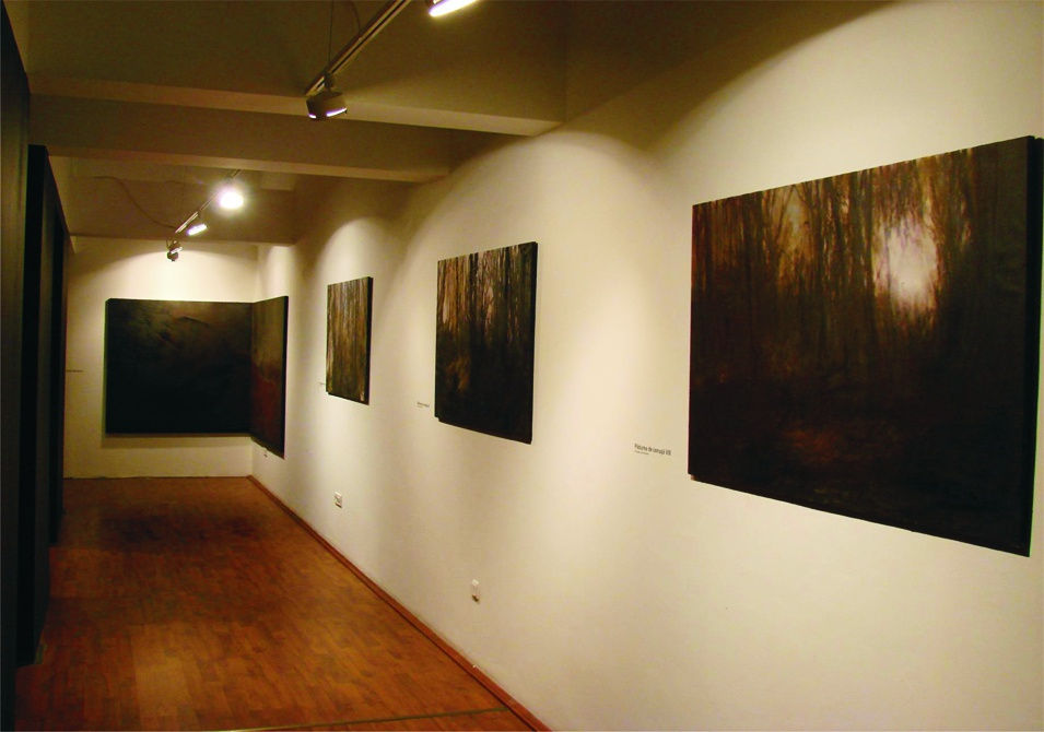 IOAB SBÂRCIU: CIDER FOREST