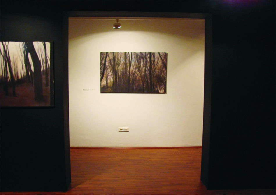 IOAB SBÂRCIU: CIDER FOREST