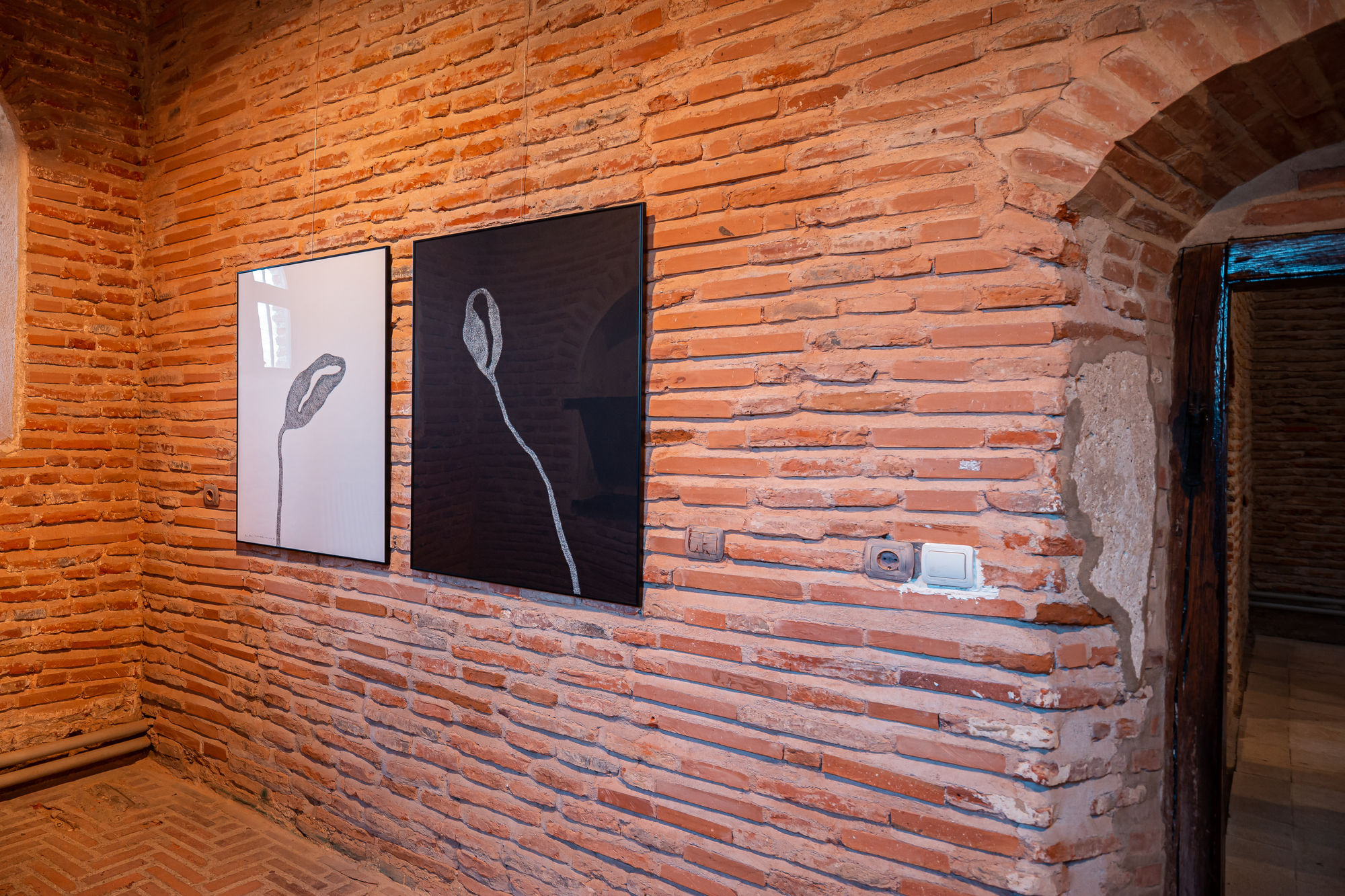 ALINA ALDEA: SECRET GARDEN